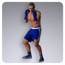 Icon of the asset:Boxer 7548 Tris