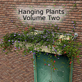 Icon of the asset:Hanging Plants - Volume Three