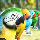 Icon of the asset:Ultimate Parrot Animations & Skins Pack