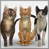 Icon of the asset:Cats pack