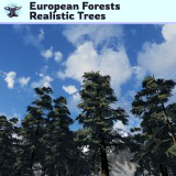Icon of the asset:European Forests - Realistic Trees