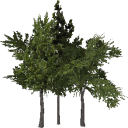 Icon of the asset:Mobile Tree Package