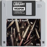 Icon of the asset:Bullet Casing & Impact SFX