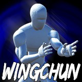 Icon of the asset:Wingchun AnimSet