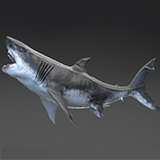 Icon of the asset:MEGALODON - Sea Monster Series 5 , 18 Animations
