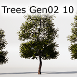 Icon of the asset:TreesGen02_10