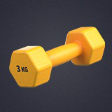 Icon of the asset:Fitness Dumbbells with Rack