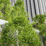 Icon of the asset:HDRP Tree Pack 7 (HighPoly)