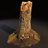 Icon of the asset:Broken Tree Stumps 01