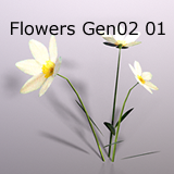 Icon of the asset:Flowers Gen02_01