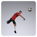 Icon of the asset:Soccer Goalkeeper 1008 Tris