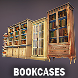 Icon of the asset:Bookcases and books