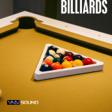 Icon of the asset:Billiards