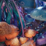 Icon of the asset:Fantasy Plant