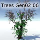 Icon of the asset:Trees Gen02 06